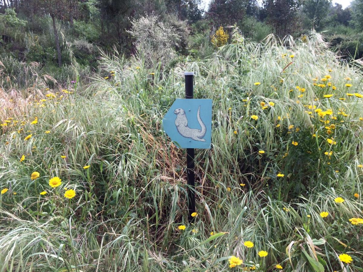 Quinta Da Lontra Βίλα Tábua Εξωτερικό φωτογραφία