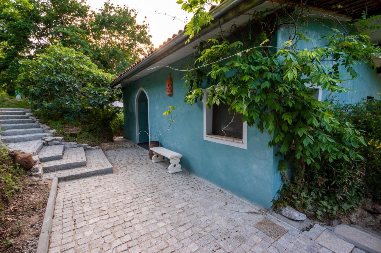 Quinta Da Lontra Βίλα Tábua Εξωτερικό φωτογραφία