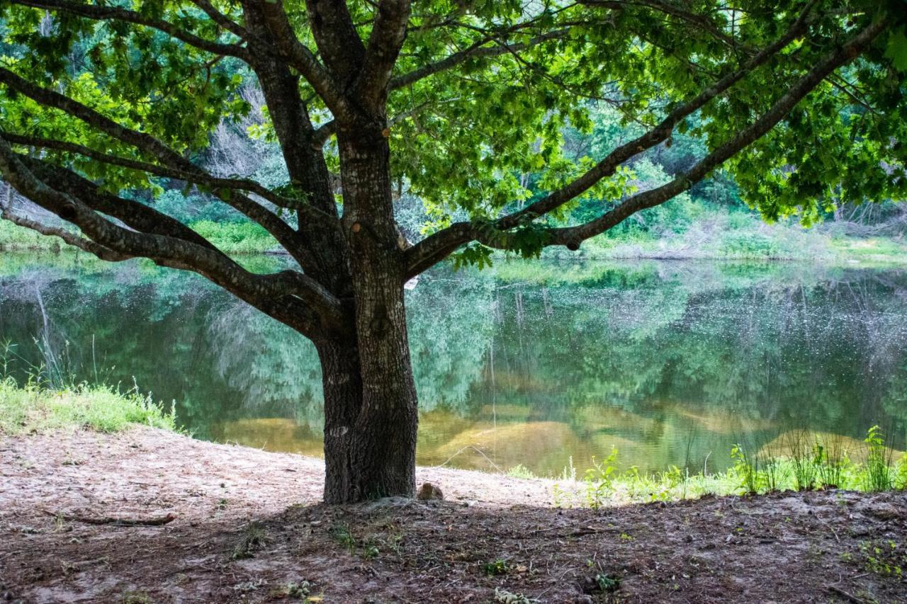 Quinta Da Lontra Βίλα Tábua Εξωτερικό φωτογραφία