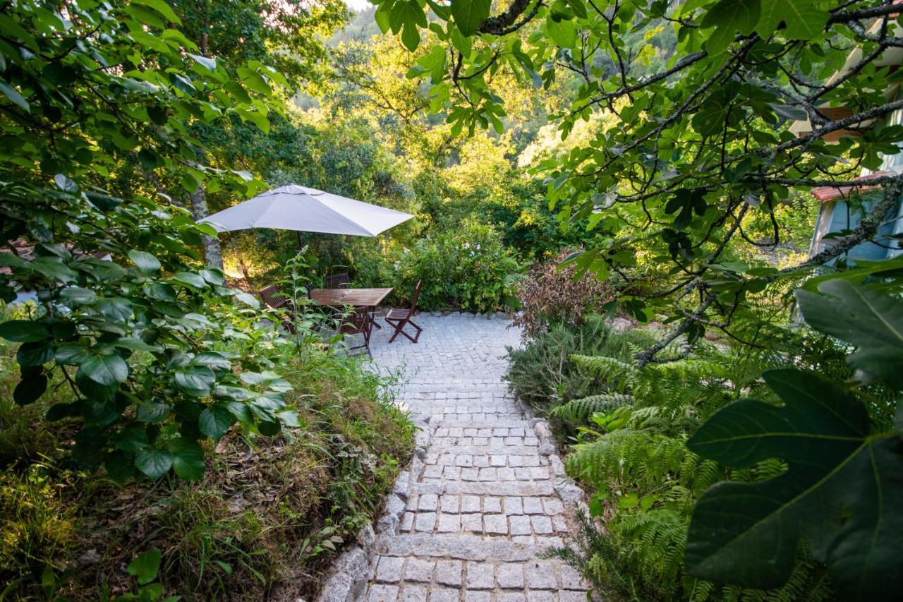 Quinta Da Lontra Βίλα Tábua Εξωτερικό φωτογραφία