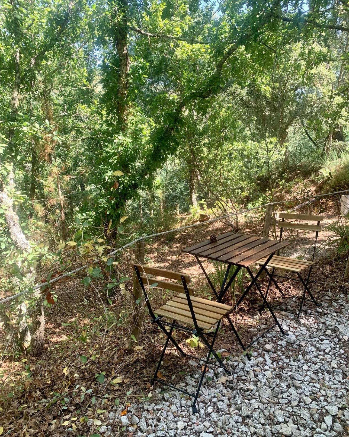 Quinta Da Lontra Βίλα Tábua Εξωτερικό φωτογραφία