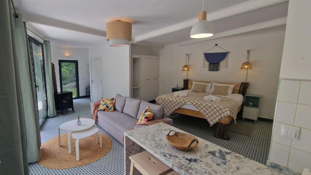 Quinta Da Lontra Βίλα Tábua Εξωτερικό φωτογραφία