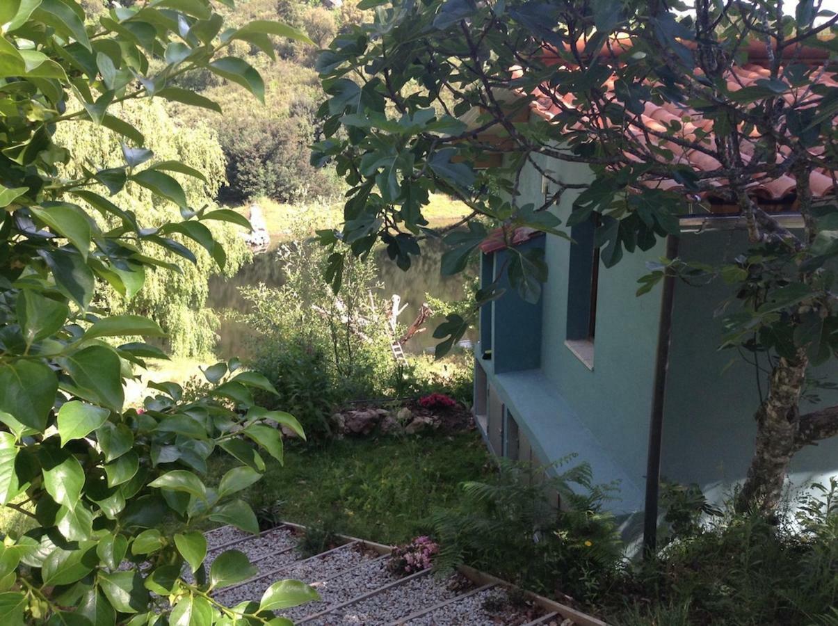 Quinta Da Lontra Βίλα Tábua Εξωτερικό φωτογραφία