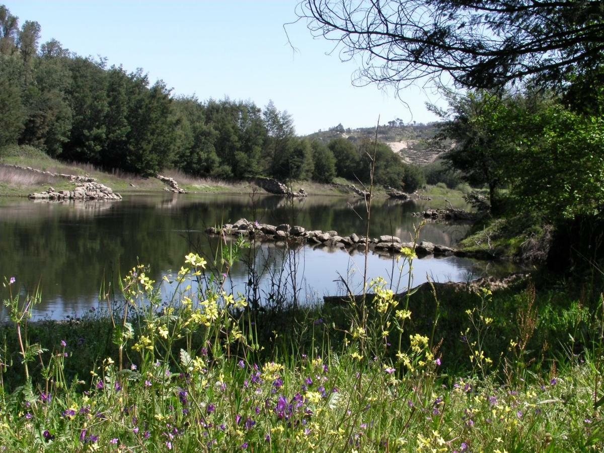 Quinta Da Lontra Βίλα Tábua Εξωτερικό φωτογραφία