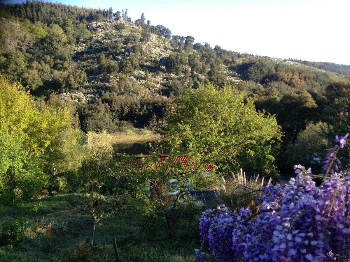 Quinta Da Lontra Βίλα Tábua Εξωτερικό φωτογραφία